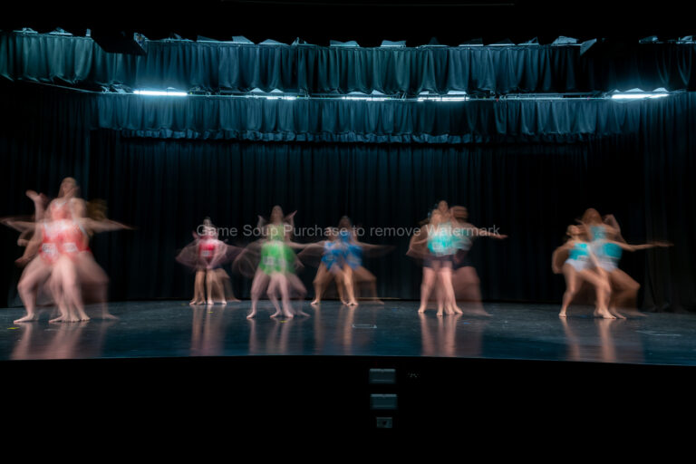 HS Butterflies 12 Years