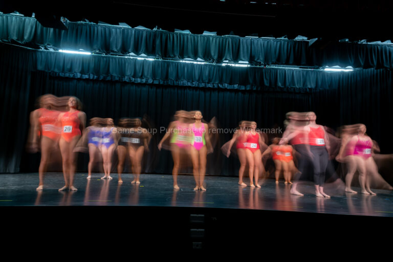 Harbourside Butterflies Novice