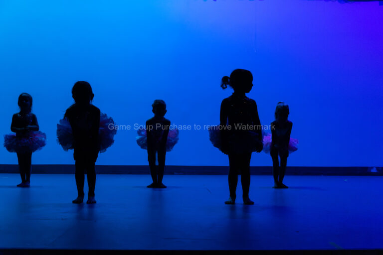 Sunshine Coase EOY Fairies