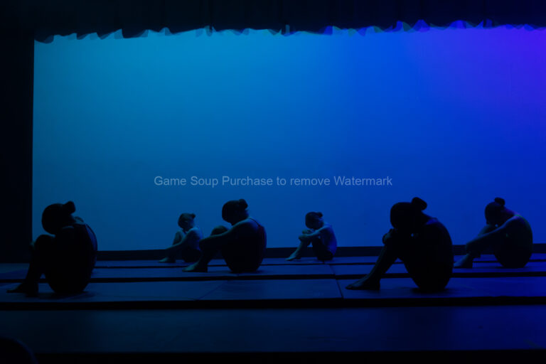 Sunshine Coast End of Year Junior Acro