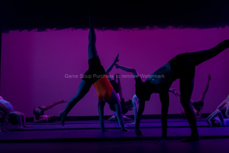 Sunshine Coast EOY Intermediate Acro